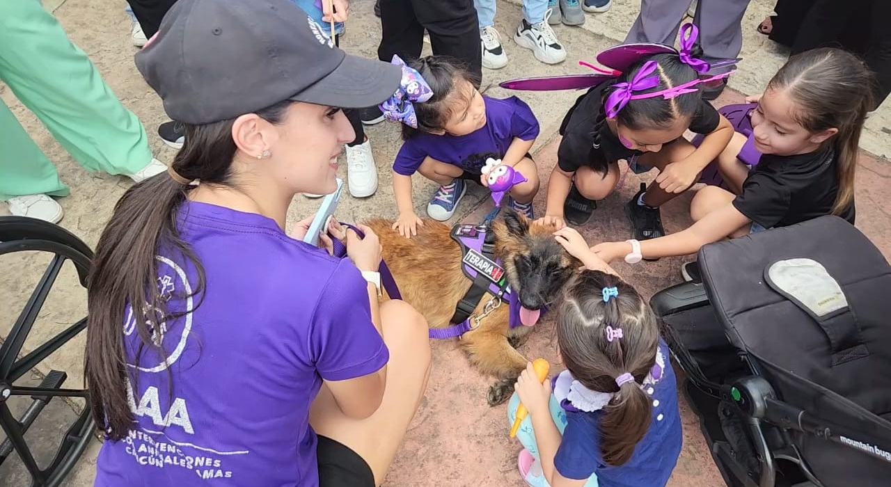 Terapias Asistidas con Animales para Niños